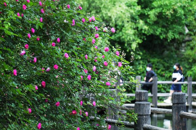 城市逃离计划抖音（逃离城市计划一场仪式感满满的姐妹狂欢派对）(9)