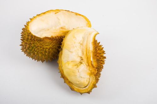 榴莲种子怎么种植_http://zx.wleaves.com_园艺_第2张